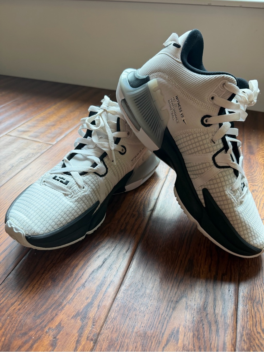 Nike lebron witness Vll TB